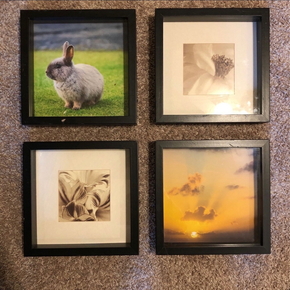 Set of 4 Shadow Box Picture Frames